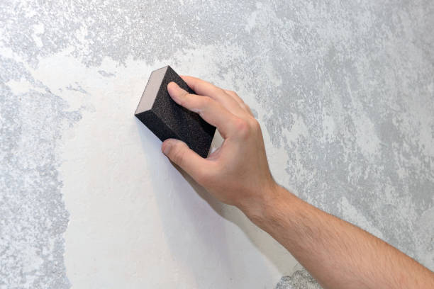 Best Mold Documentation for Insurance Claims  in Nashville, NC