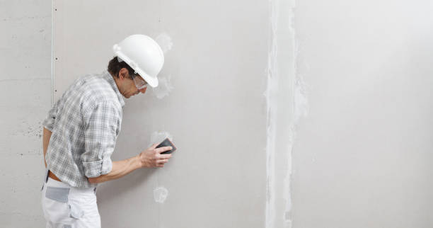 Best Comprehensive Air Testing for Mold Contaminants  in Nashville, NC