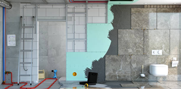 Best Post-Construction Mold Inspection  in Nashville, NC