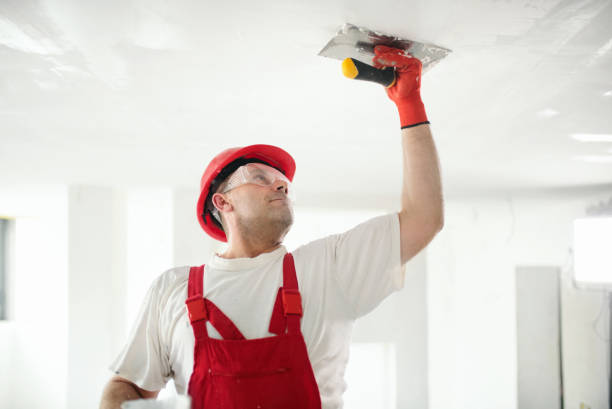 Mold Odor Removal Services in Nashville, NC