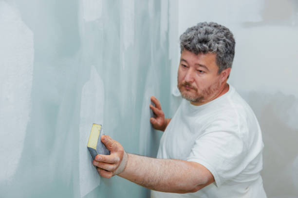 Best Environmental Consulting for Mold Prevention  in Nashville, NC