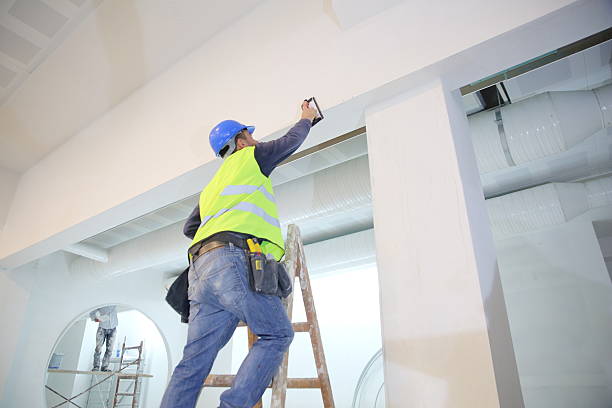 Best Water Damage & Mold Remediation  in Nashville, NC