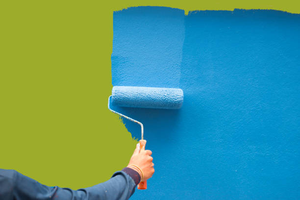 Best Forensic Mold Investigation  in Nashville, NC